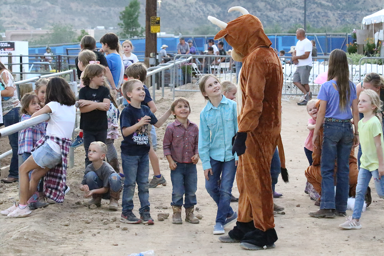 Volunteer Garfield County Fair July 2028, 2024