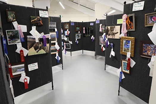open exhibits