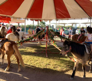 pony ride