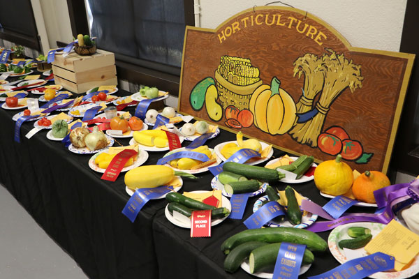 The horticulture table in the open class exhibits